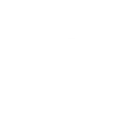 top=speed-motors-facebook-logo