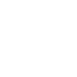 top=speed-motors-instagram-logo